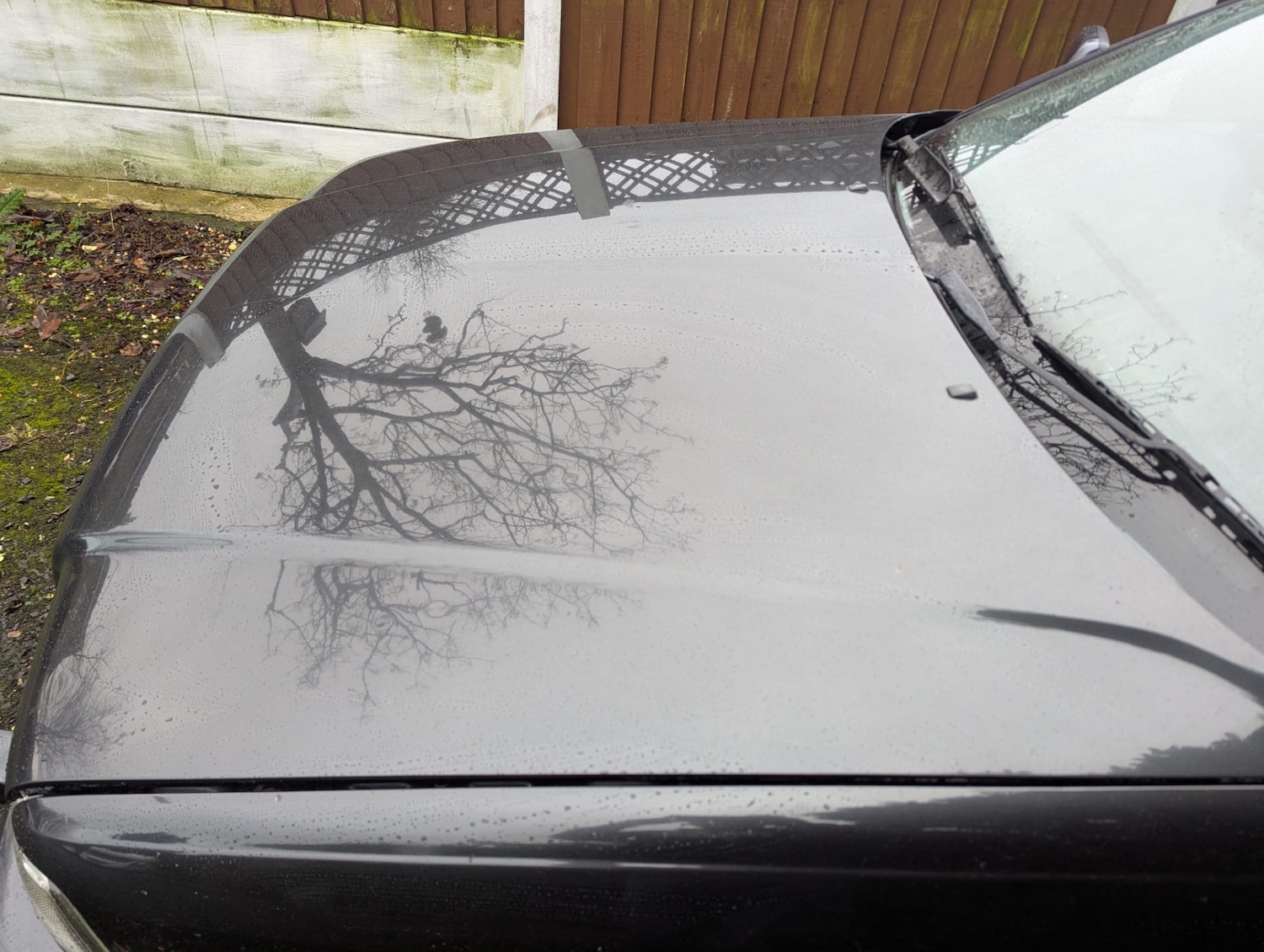 Used Audi 80 1995 for sale - 76931682: Photo 24