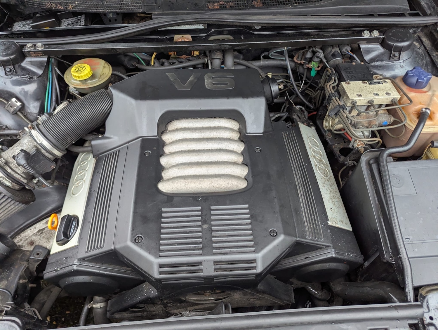 Used Audi 80 1995 for sale - 76931682: Photo 8