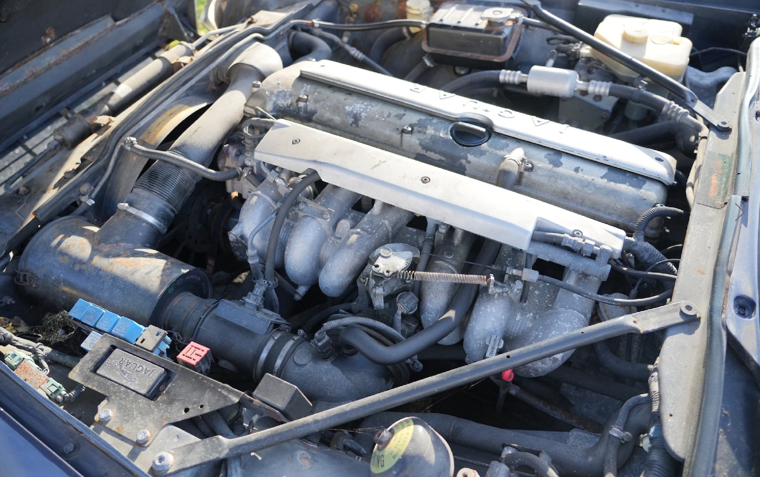 Used Jaguar XJS 1995 for sale - 77749430: Photo 8