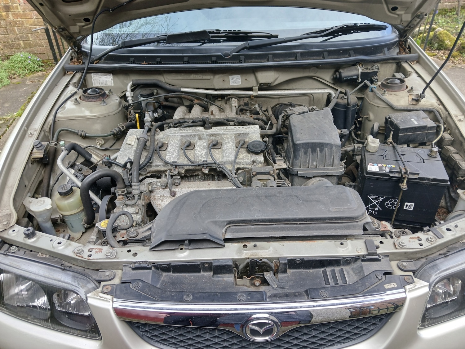 Used Mazda 626 1999 for sale - 78014363: Photo 17