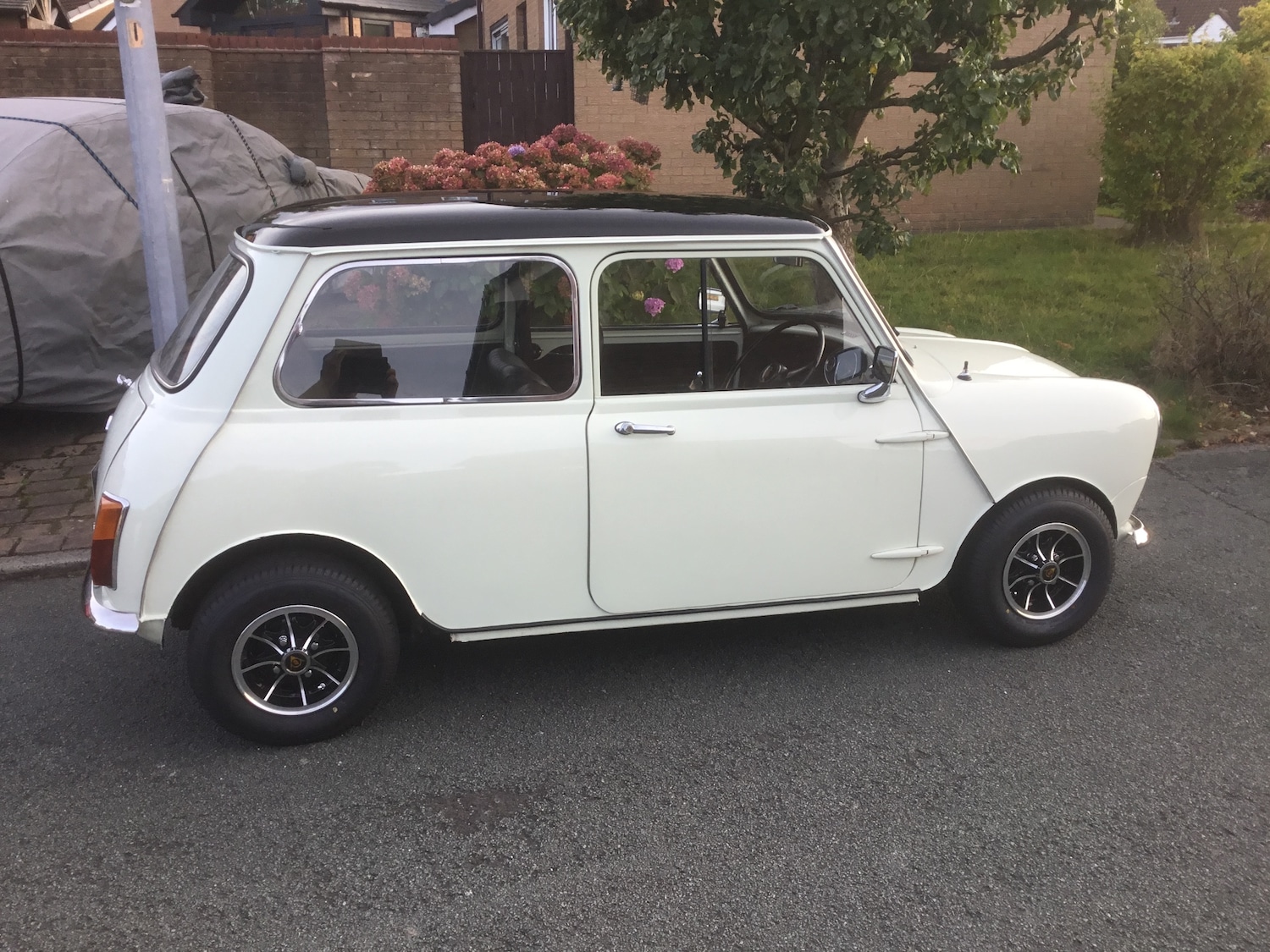 Used Austin Mini 1970 for sale - 76394924: Photo 2