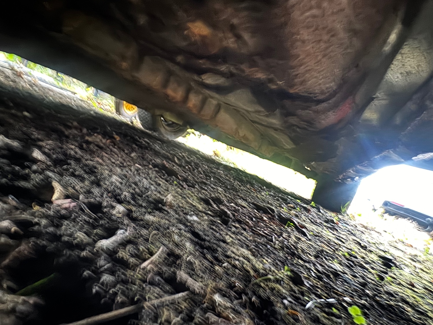 Used Mazda RX-7 1985 for sale - 76641220: Photo 20