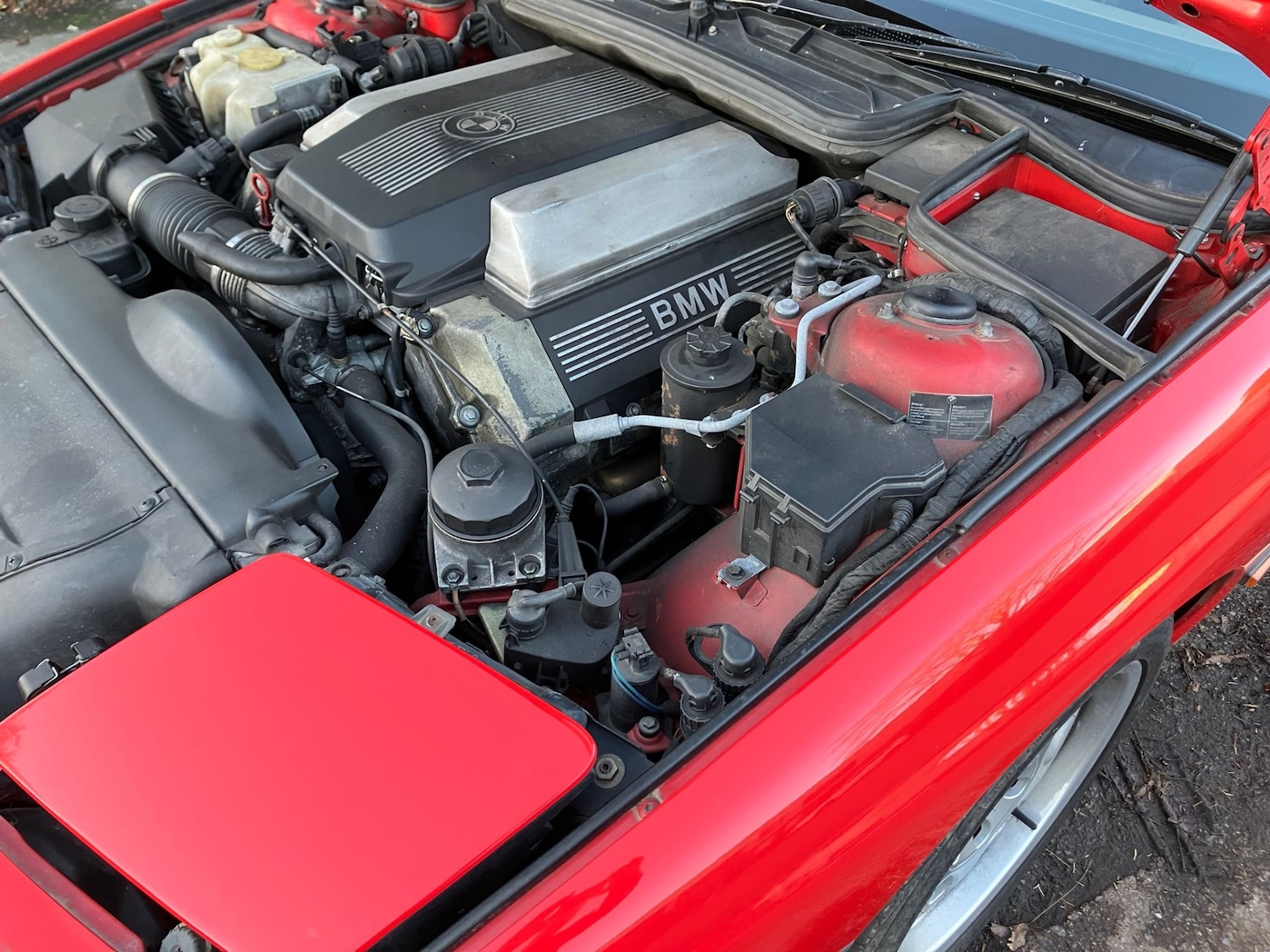 Used BMW 8 Series 1998 for sale - 76862032: Photo 17