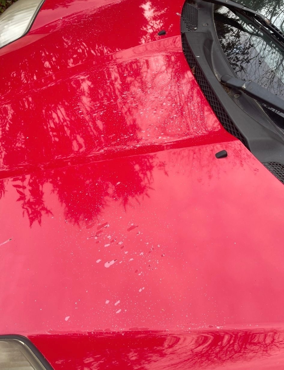 Used Toyota MR2 2004 for sale - 76394951: Photo 16