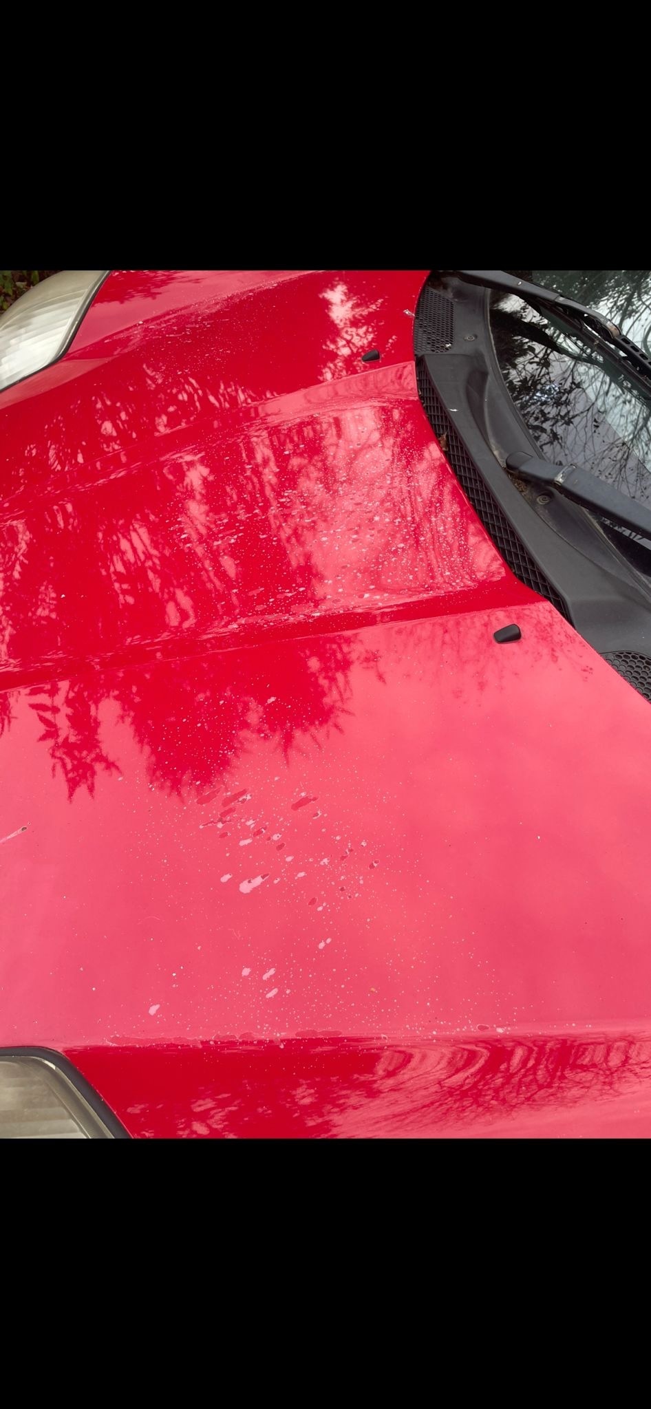 Used Toyota MR2 2004 for sale - 76394951: Photo 5