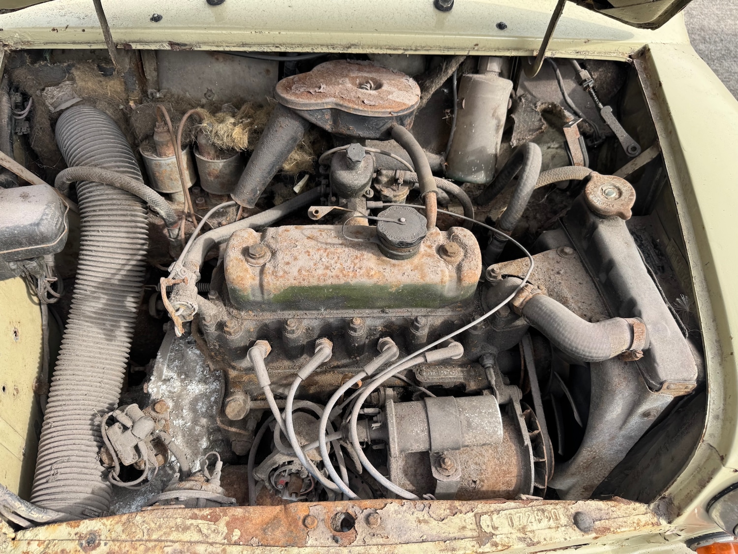 Used Austin Mini 1967 for sale - 76221855: Photo 10