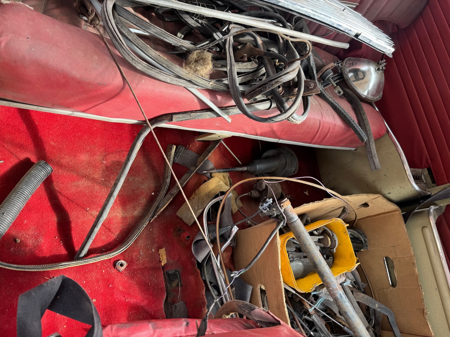 Used Austin Mini 1967 for sale - 76221855: Photo 25