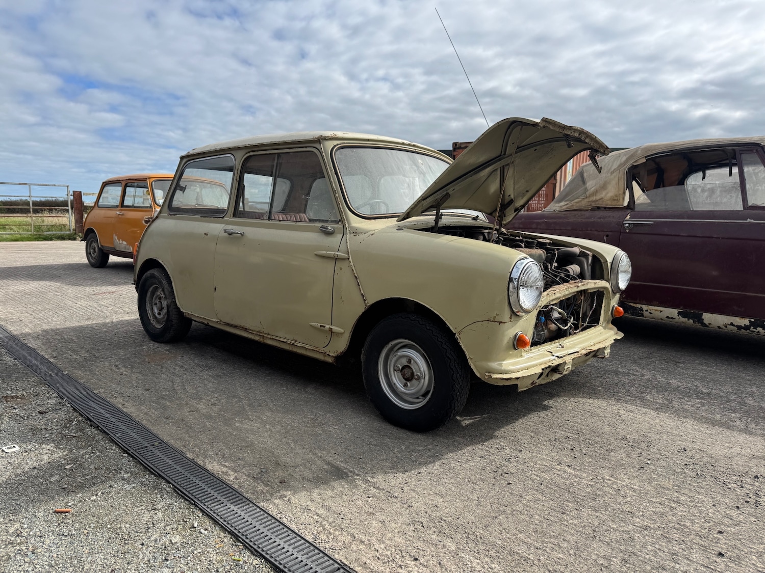 Used Austin Mini 1967 for sale - 76221855: Photo 6