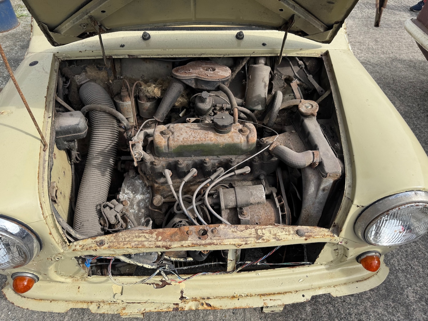 Used Austin Mini 1967 for sale - 76221855: Photo 8