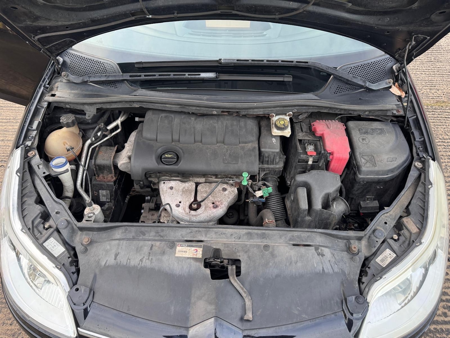 Used Citroen C4 2010 for sale - 76682395: Photo 21