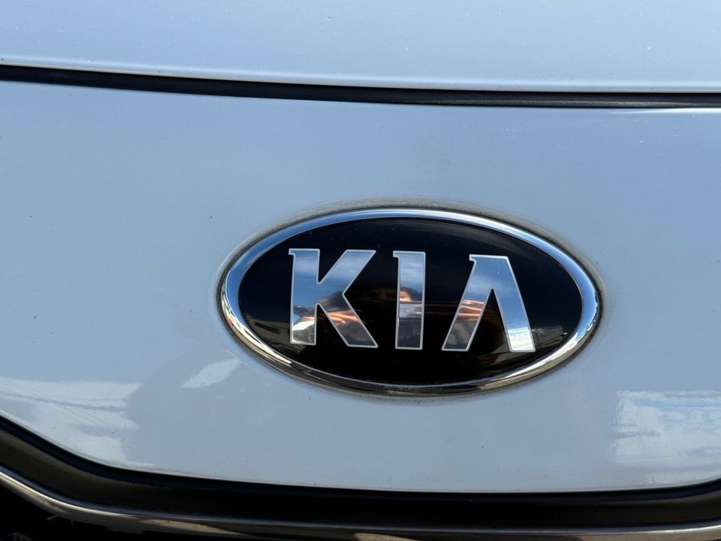 Used Kia Sportage 2017 for sale - 77755239: Photo 14