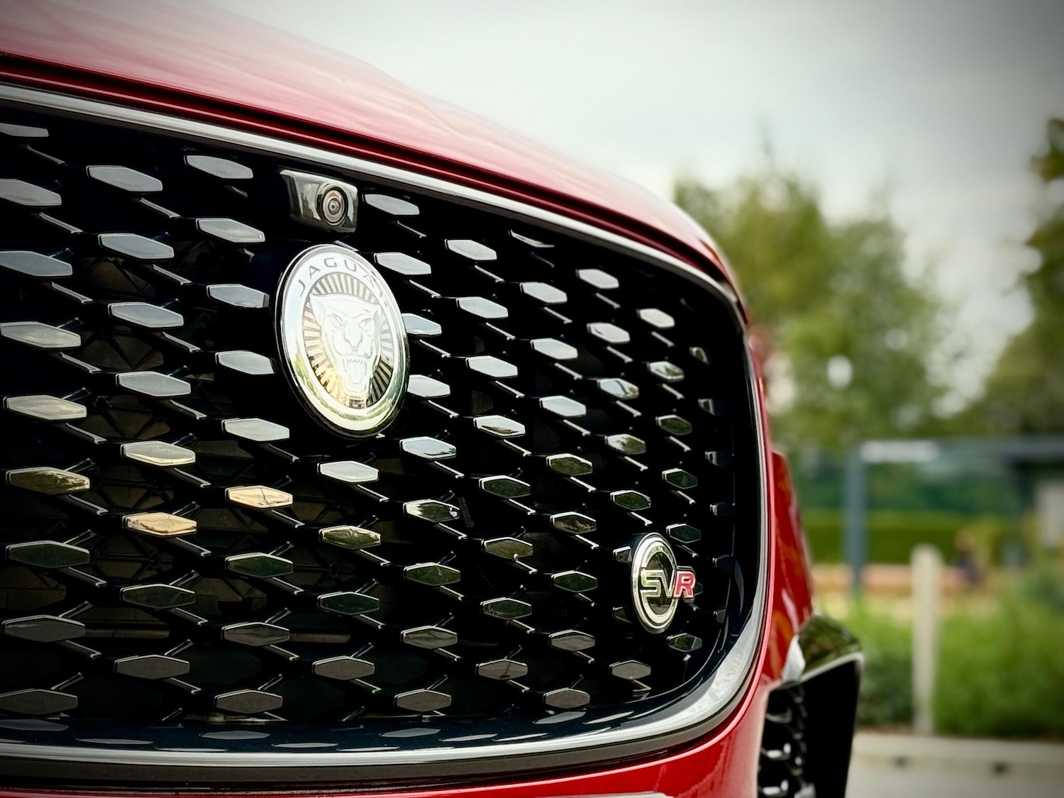 Used Jaguar F-Pace 2024 for sale - 76151876: Photo 14