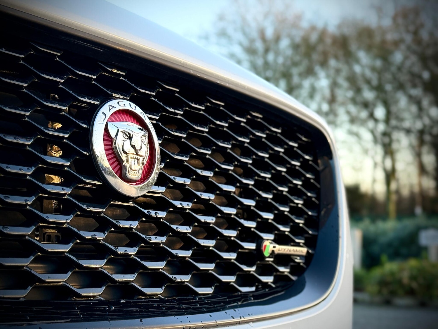 Used Jaguar E-Pace 2019 for sale - 76850013: Photo 14