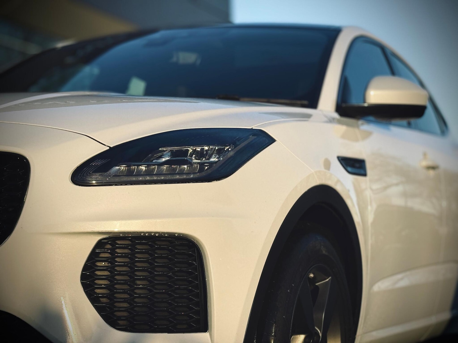 Used Jaguar E-Pace 2019 for sale - 76850013: Photo 18