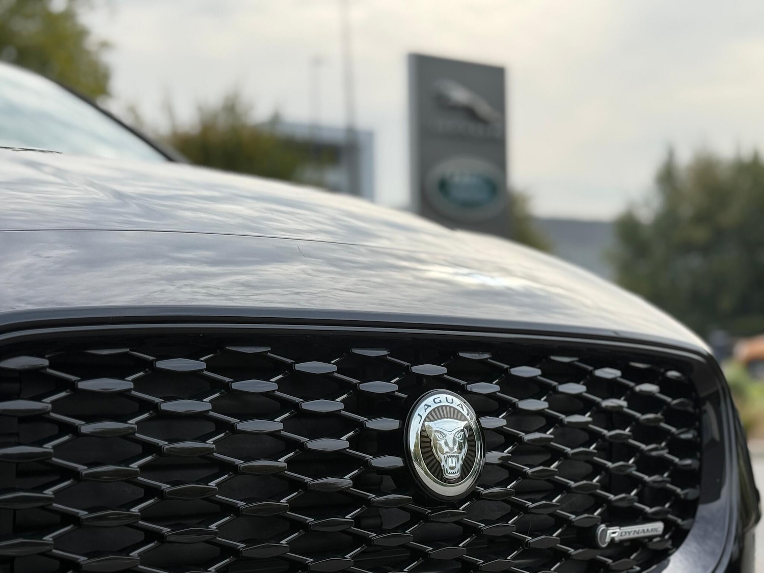 Used Jaguar E-Pace 2024 for sale - 76151740: Photo 10