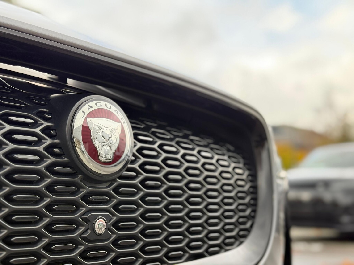 Used Jaguar I-Pace 2020 for sale - 76646304: Photo 16