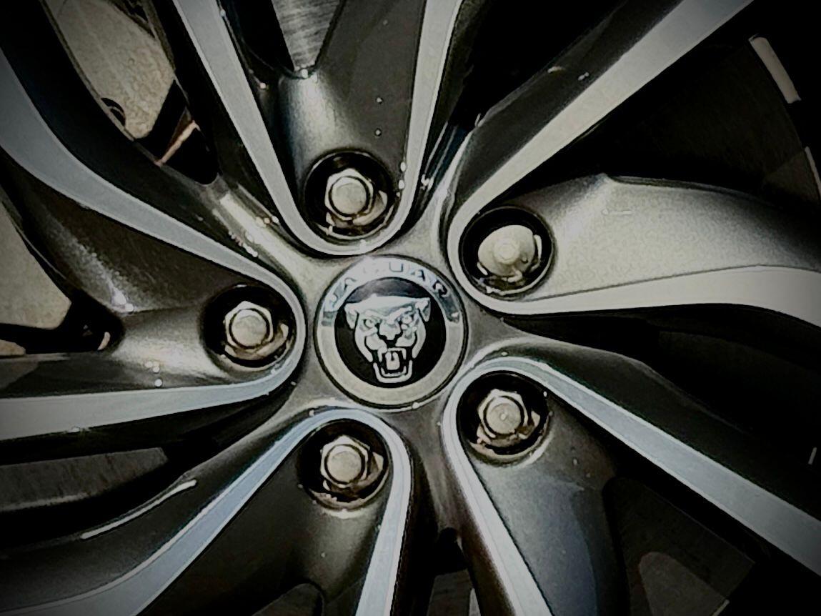 Used Jaguar XF 2023 for sale - 76189136: Photo 17