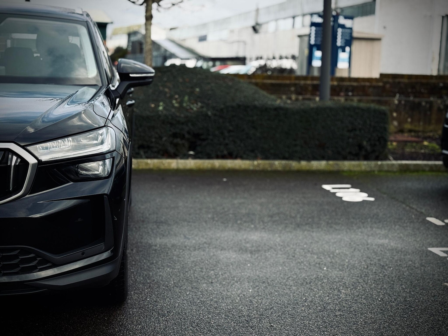 Used Skoda Kodiaq 2024 for sale - 77229265: Photo 14