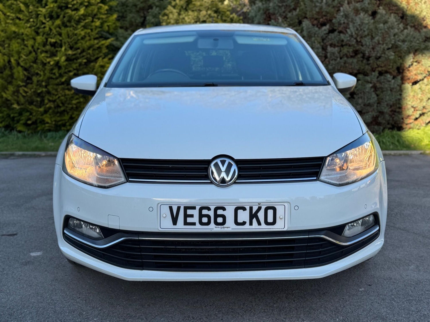 Used Volkswagen Polo 2016 for sale - 77670680: Photo 2