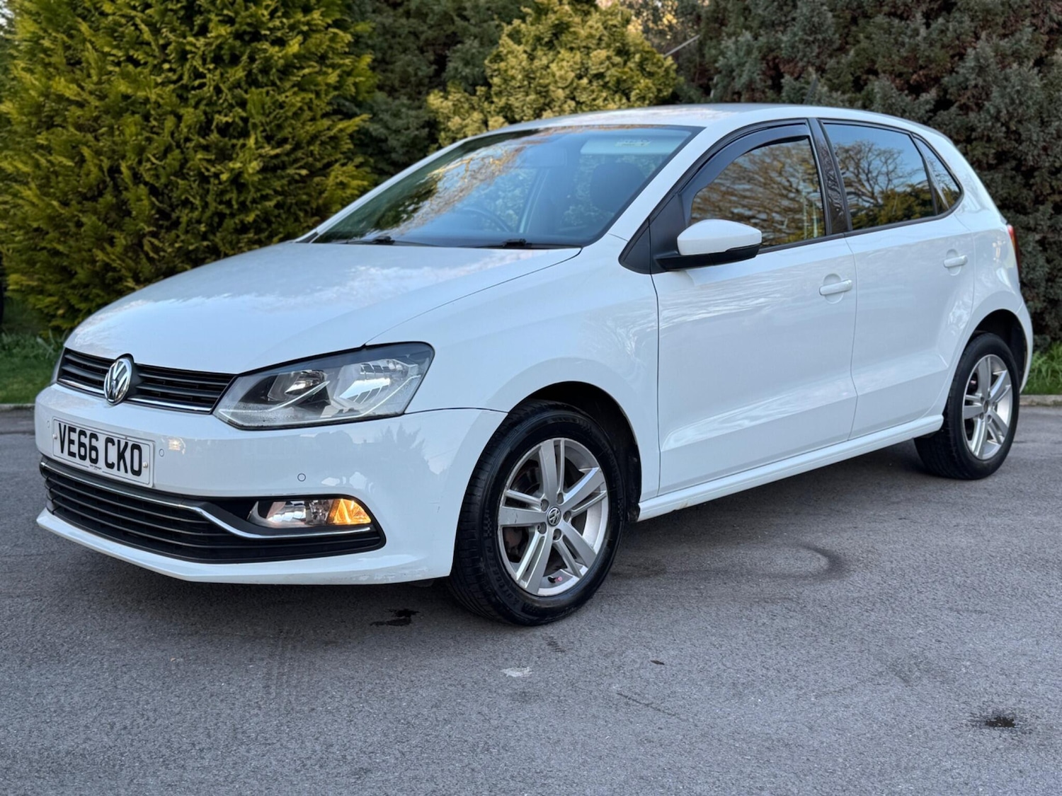 Used Volkswagen Polo 2016 for sale - 77670680: Photo 6