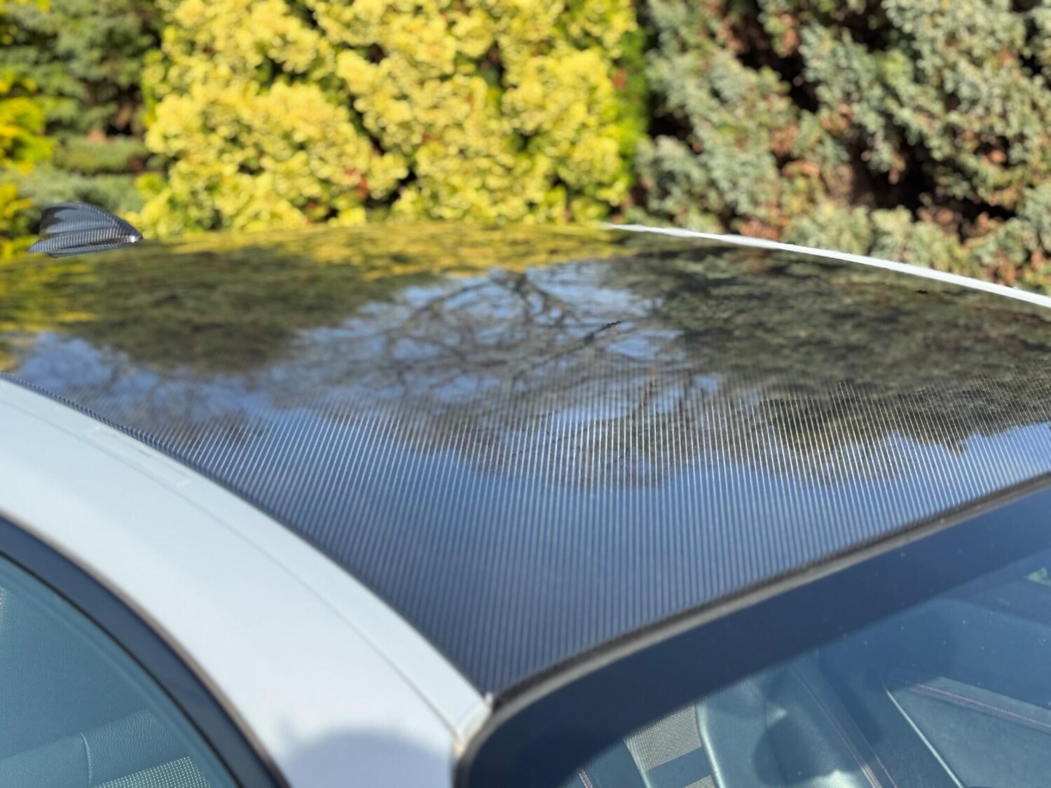 Used BMW M2 for sale - 77671723: Photo 19