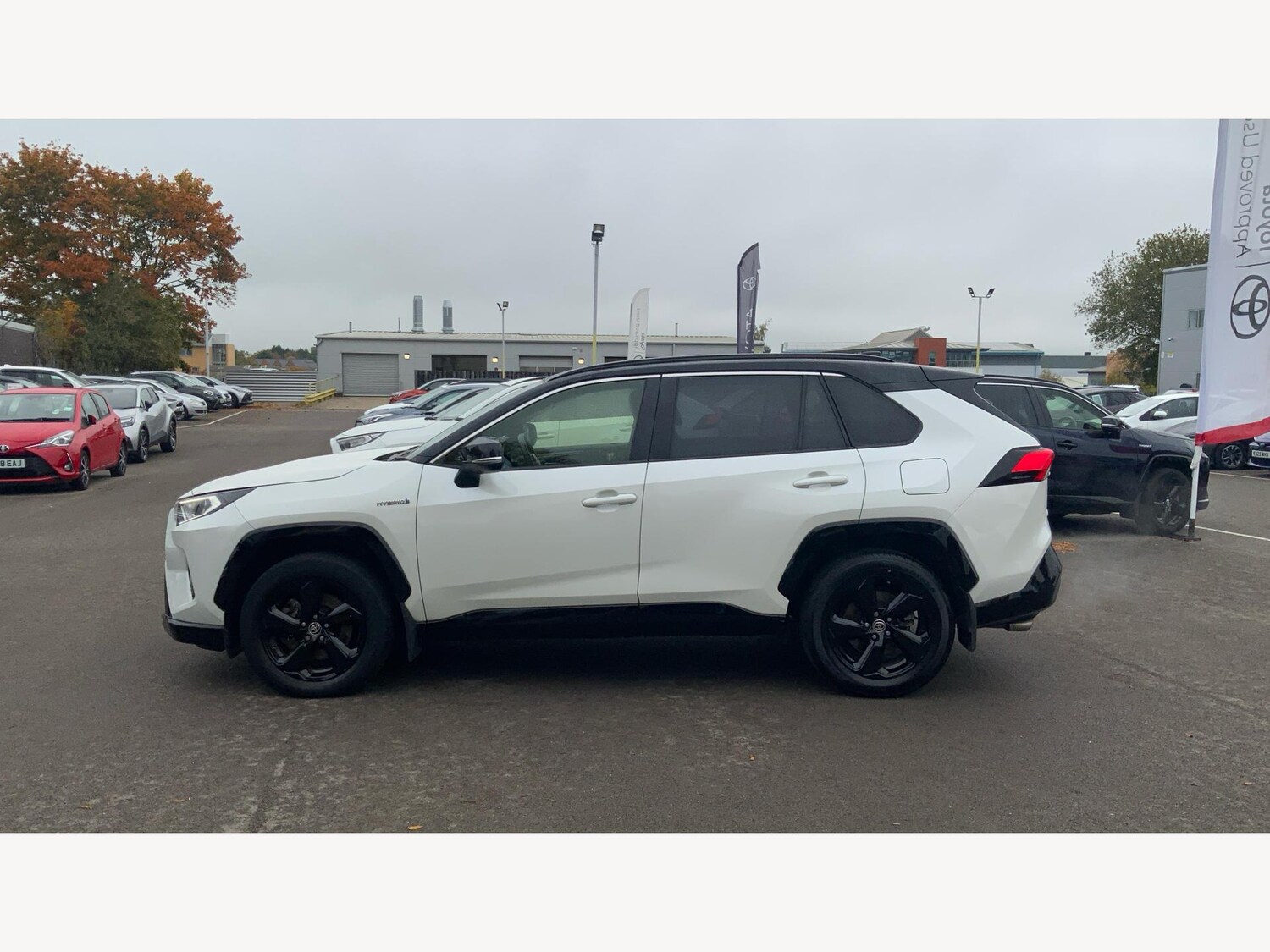 Used Toyota RAV4 2020 for sale - 76295160: Photo 19