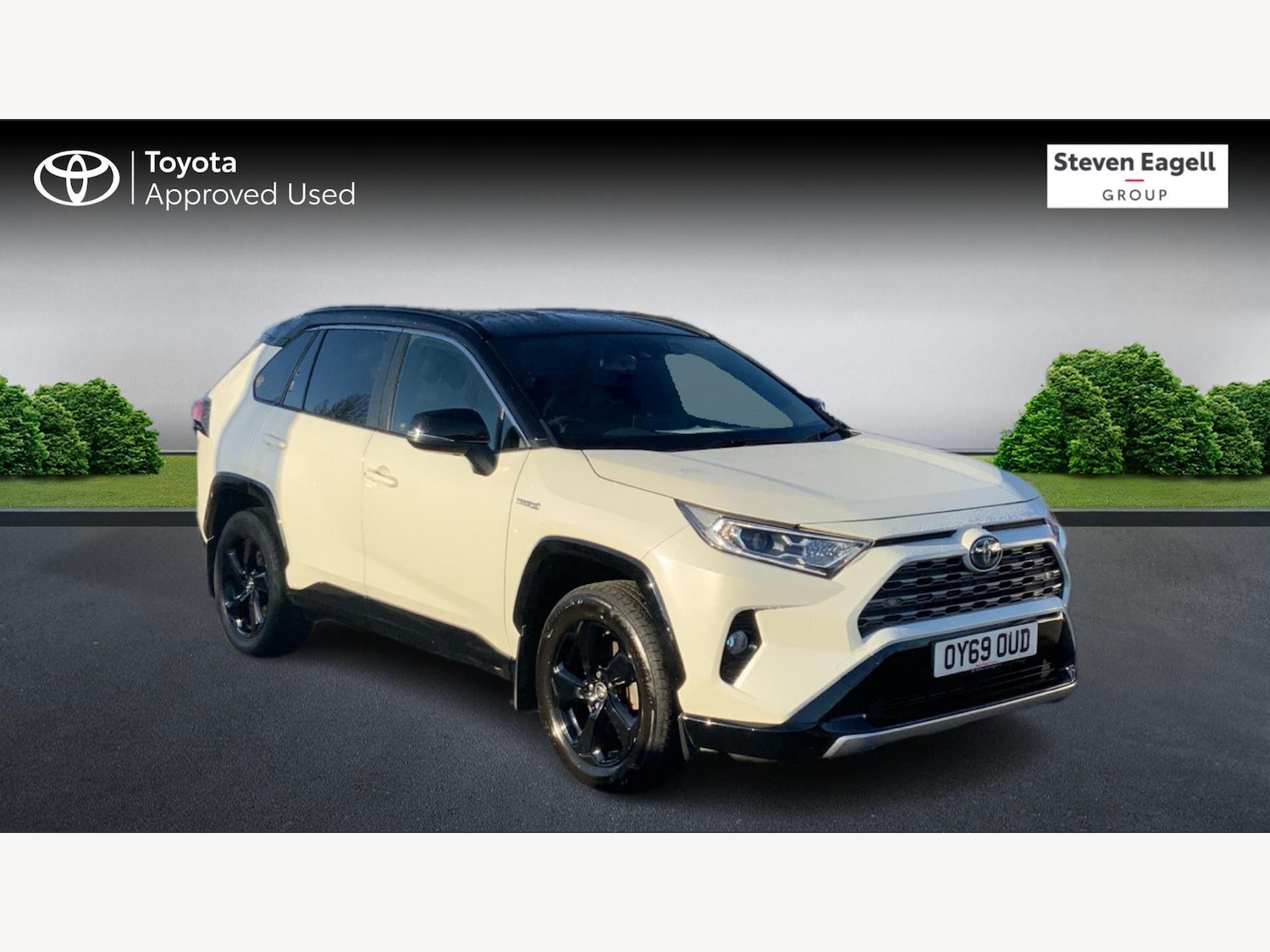 Used Toyota RAV4 2019 for sale - 76781880: Photo 1