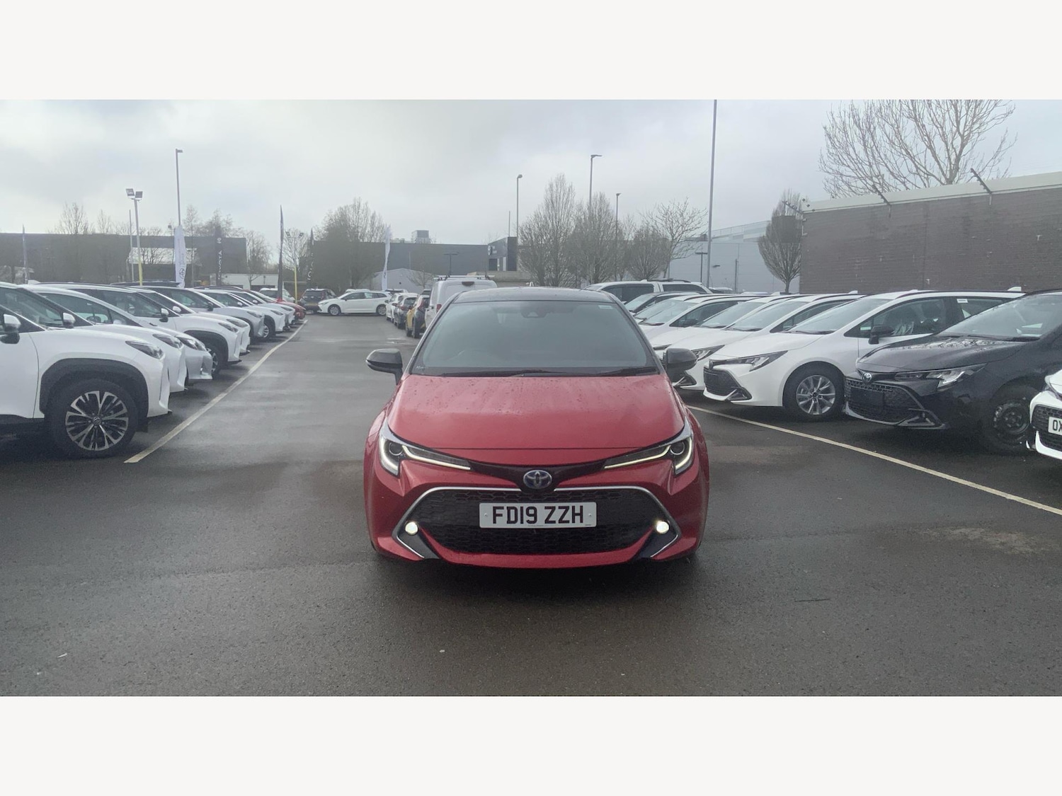 Used Toyota Corolla 2019 for sale - 77549984: Photo 17