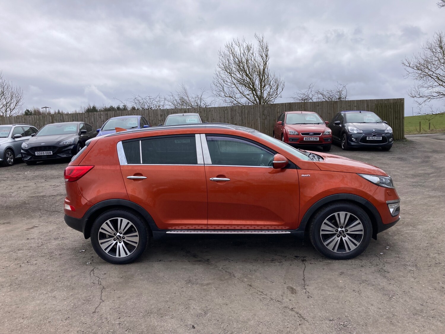 Used Kia Sportage 2015 for sale - 78141003: Photo 6