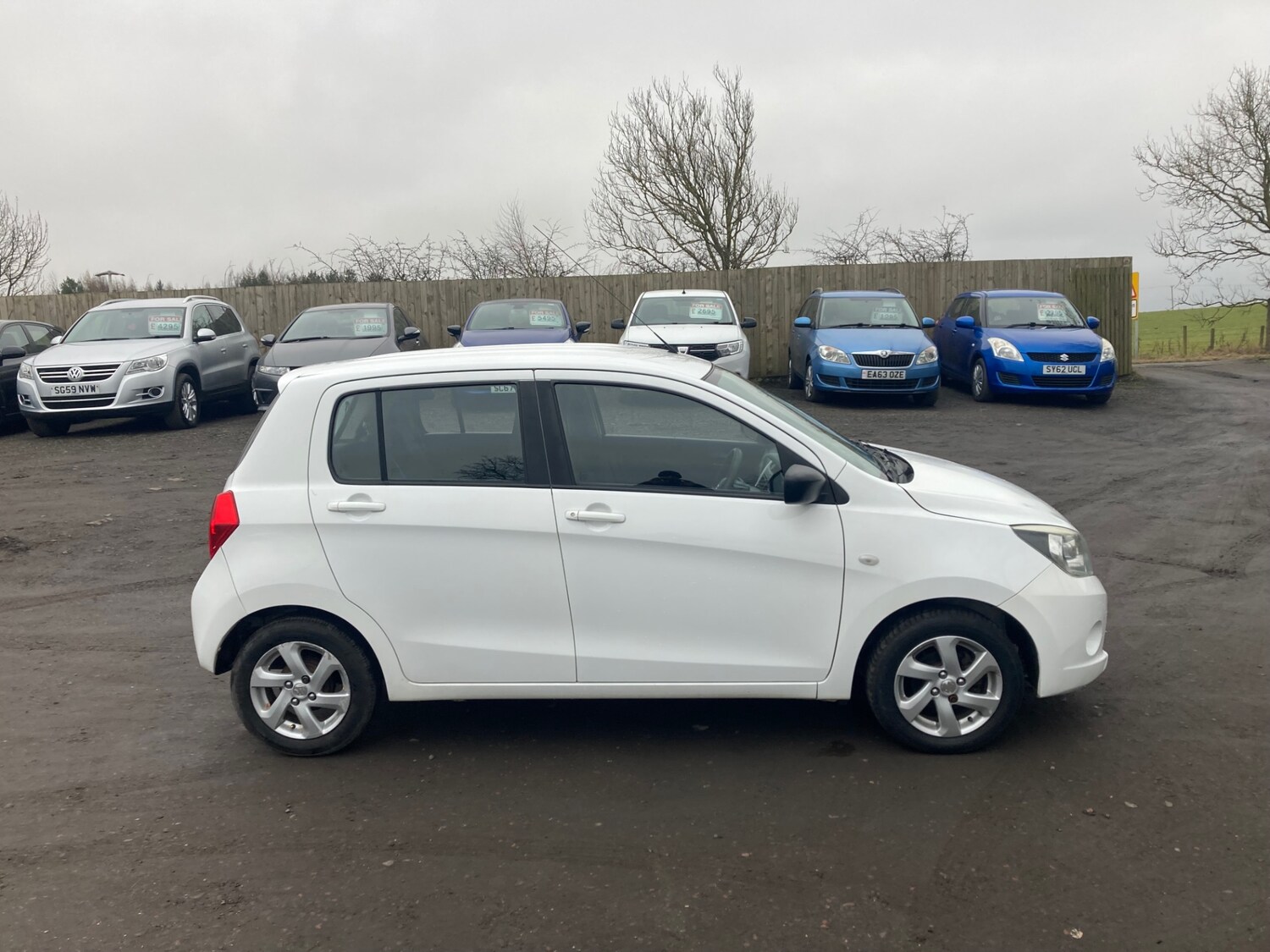 Used Suzuki Celerio 2015 for sale - 77562982: Photo 6