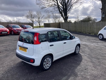 Used Fiat Panda 2013 for sale - 78250624: Photo