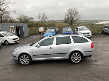 Used Skoda Octavia 2009 for sale - 77516176: Photo