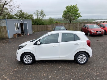 Used Kia Picanto 2019 for sale - 78474479: Photo