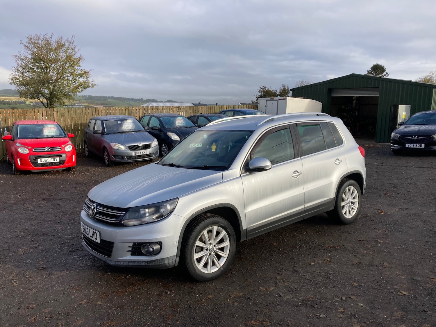 Used Volkswagen Tiguan 2013 for sale - 76392429: Photo 1