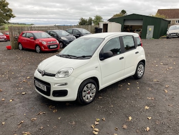 Used Fiat Panda 2014 for sale - 76142659: Photo