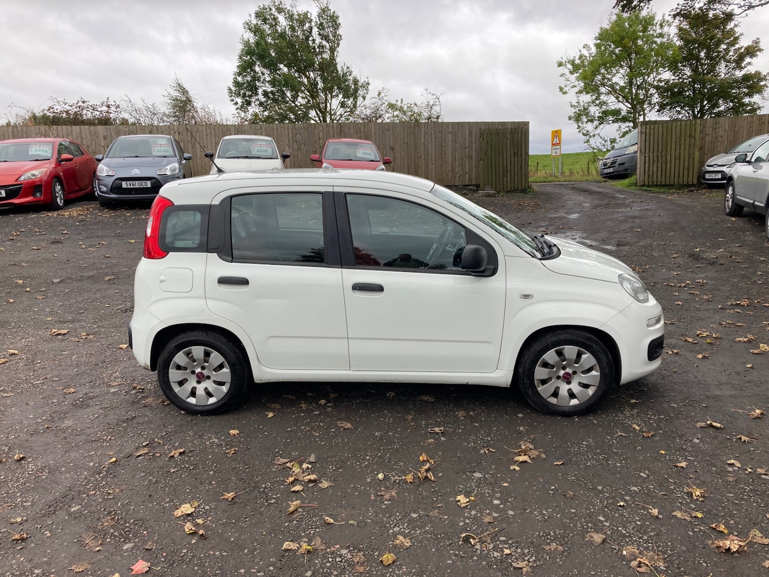 Used Fiat Panda 2014 for sale - 76142659: Photo 5