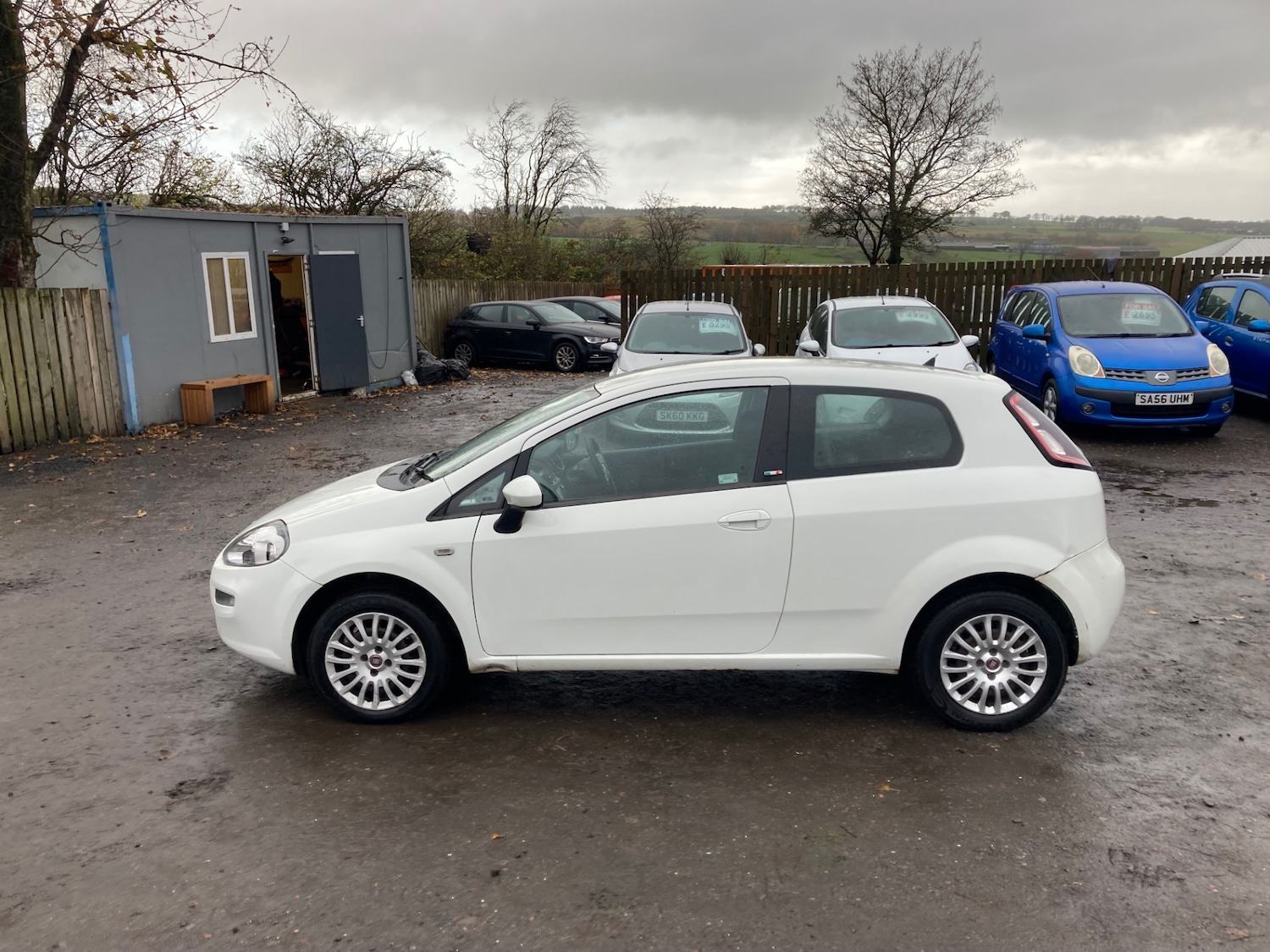 Used Fiat Punto 2014 for sale - 76526080: Photo 2