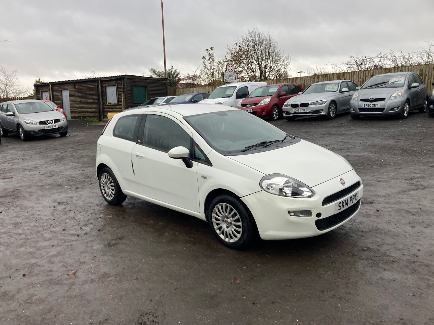 Used Fiat Punto 2014 for sale - 76526080: Photo 5