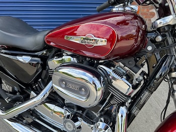 Used Harley-Davidson Sportster 2016 for sale - bike-75569857: Photo