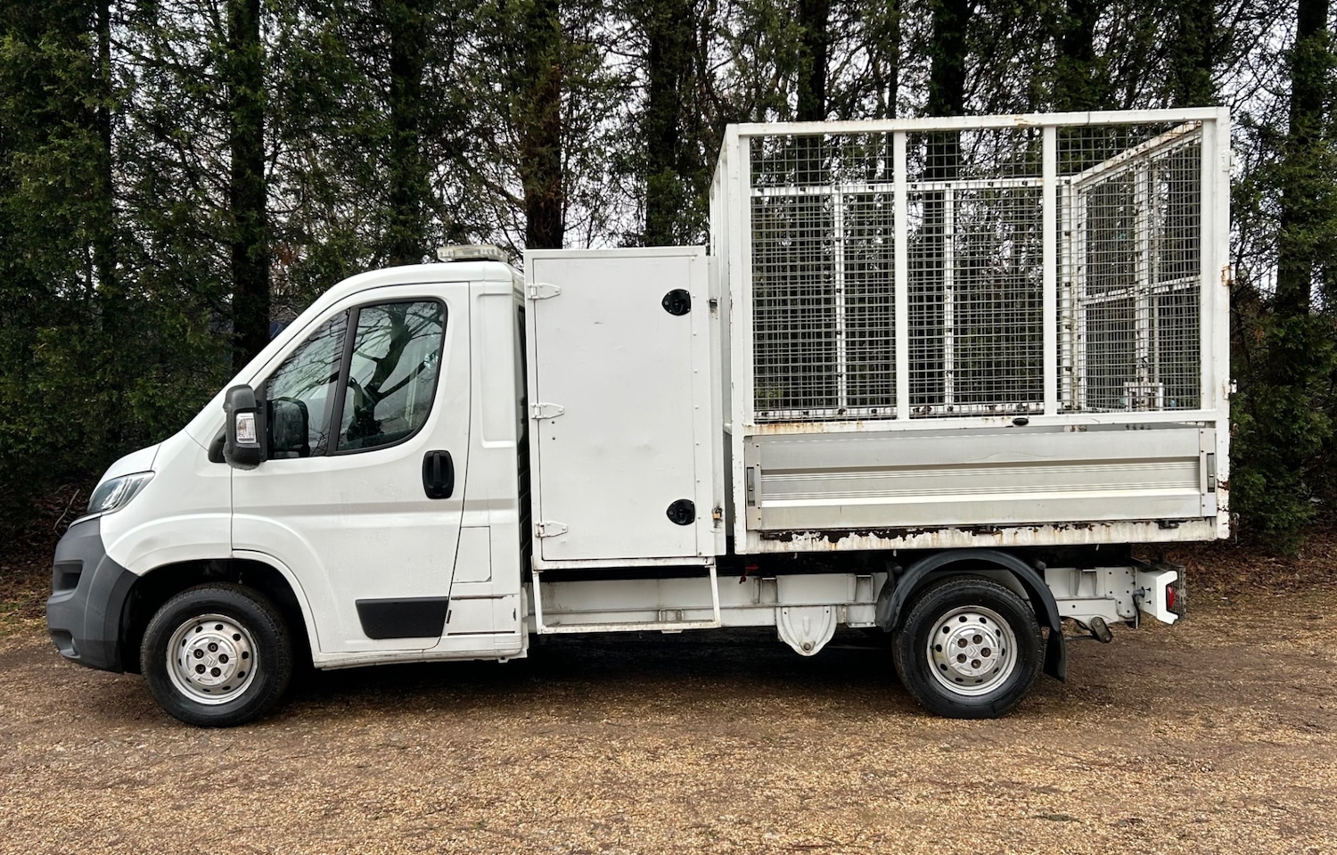 Used Citroen Relay 2018 for sale - 76637234: Photo 12
