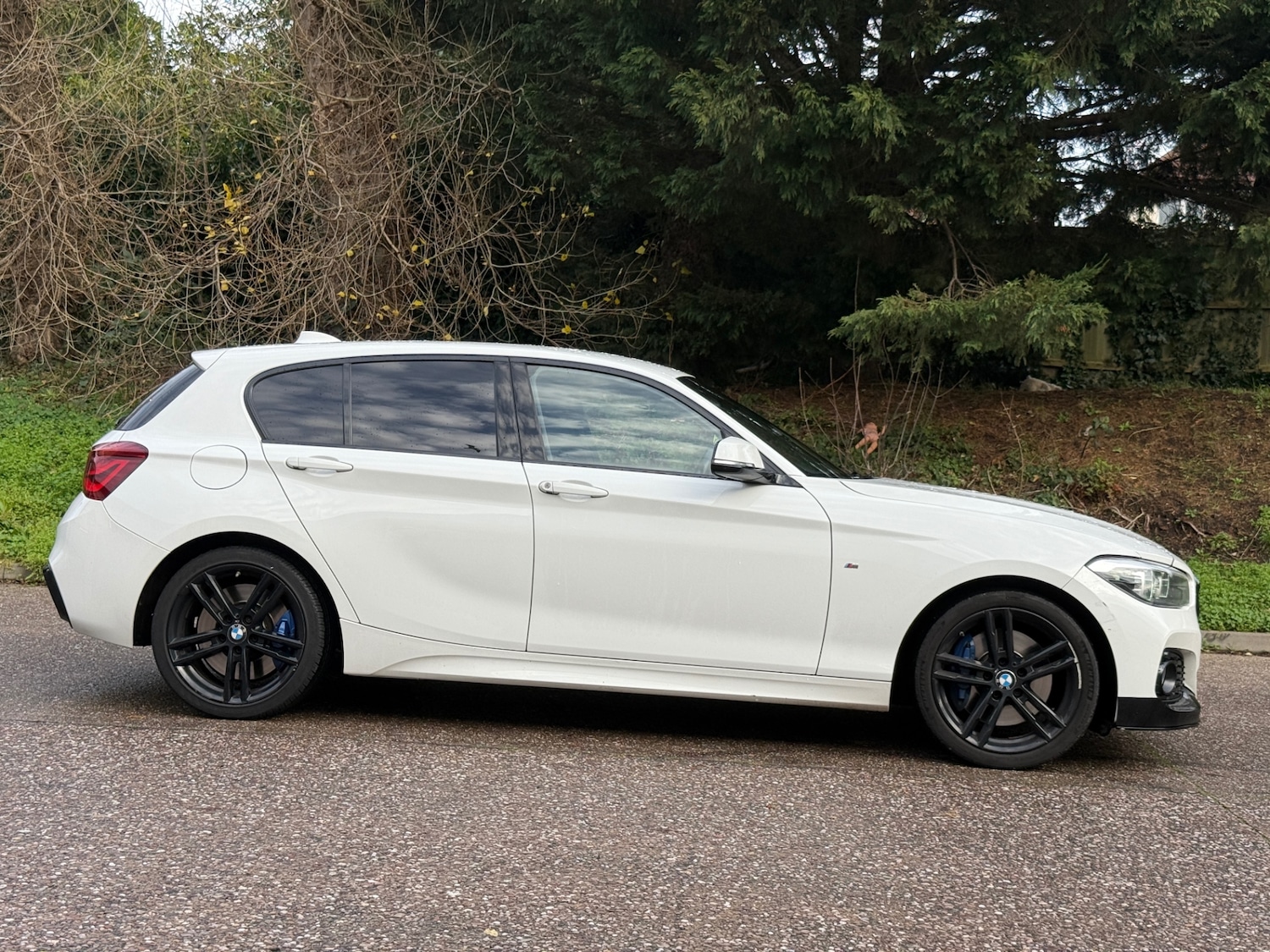 Used BMW 1 Series 2017 for sale - 76903791: Photo 6