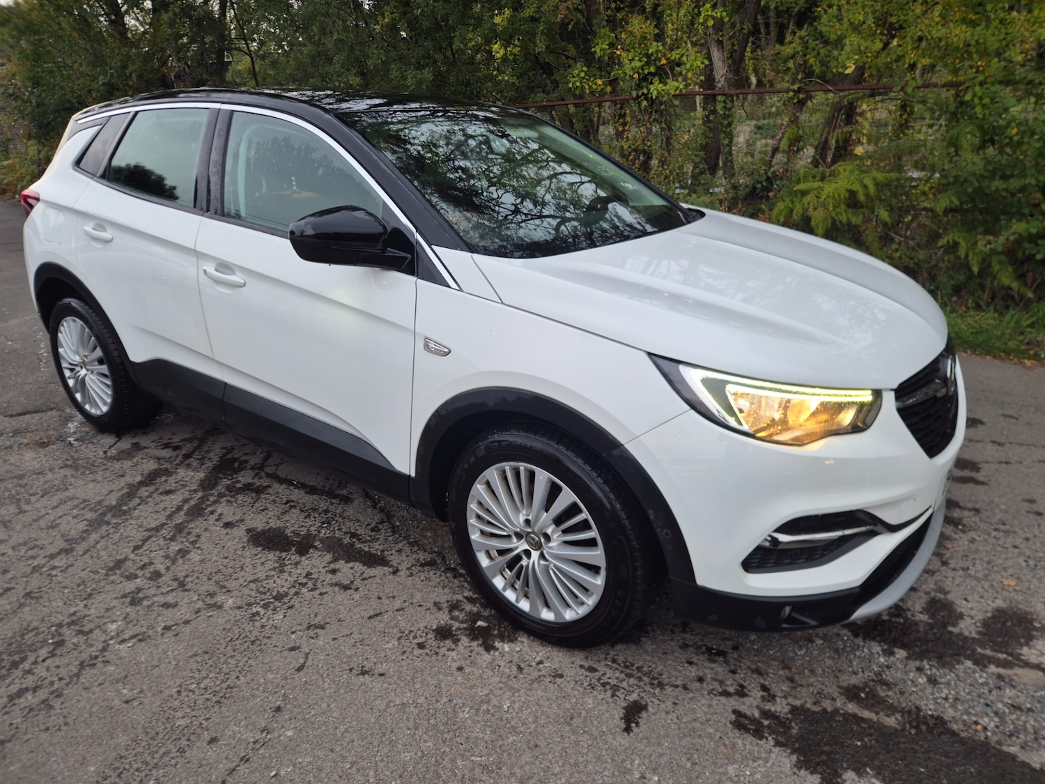 Used Vauxhall Grandland X 2019 for sale - 76148529: Photo 3
