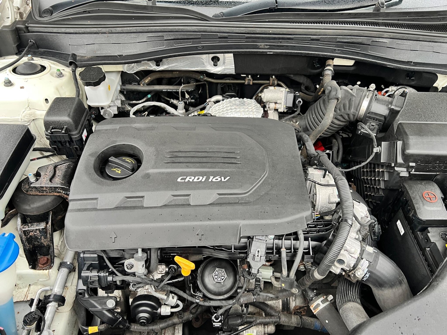 Used Kia Optima 2017 for sale - 77456098: Photo 22