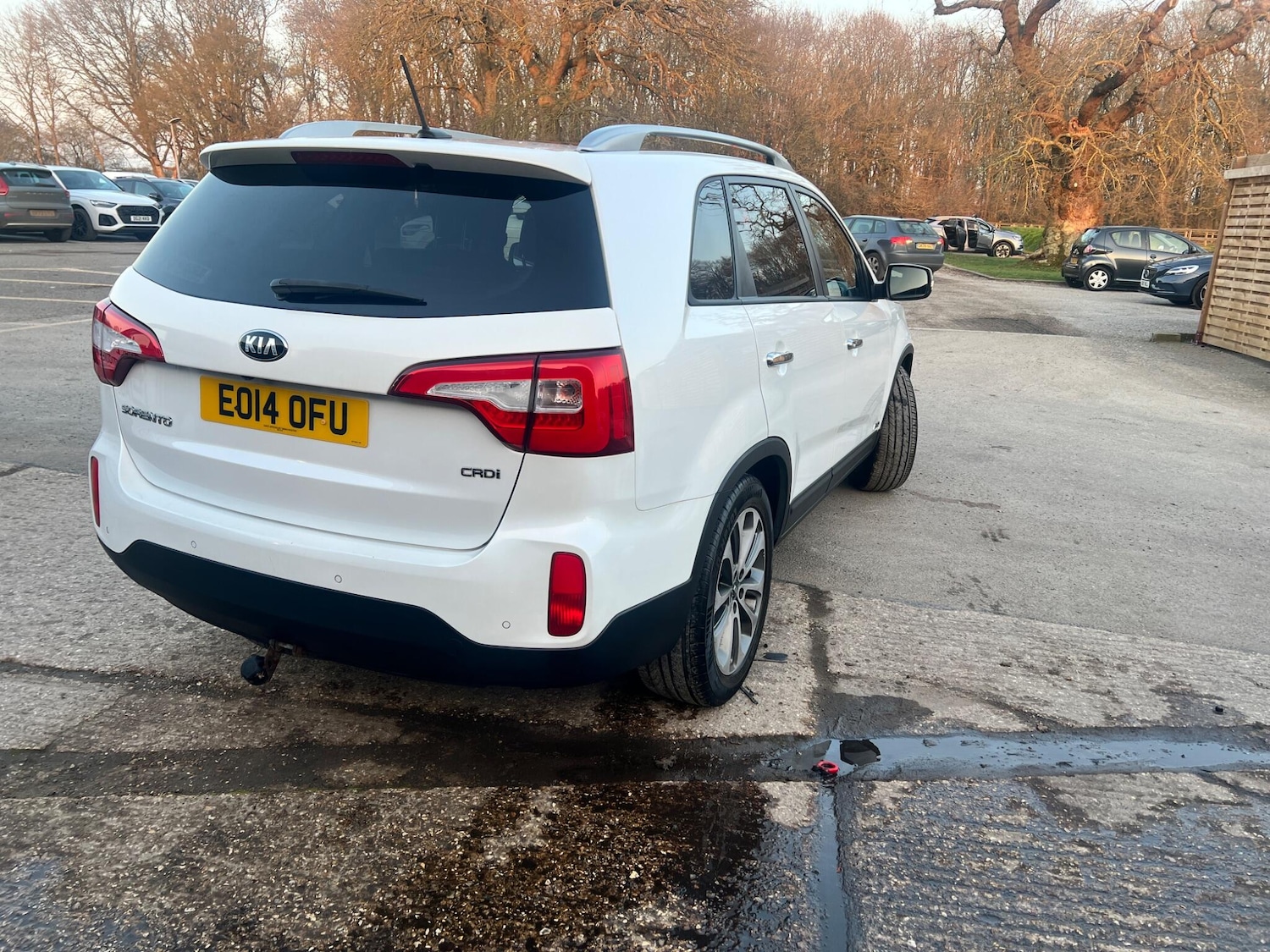 Used Kia Sorento 2014 for sale - 77753739: Photo 8