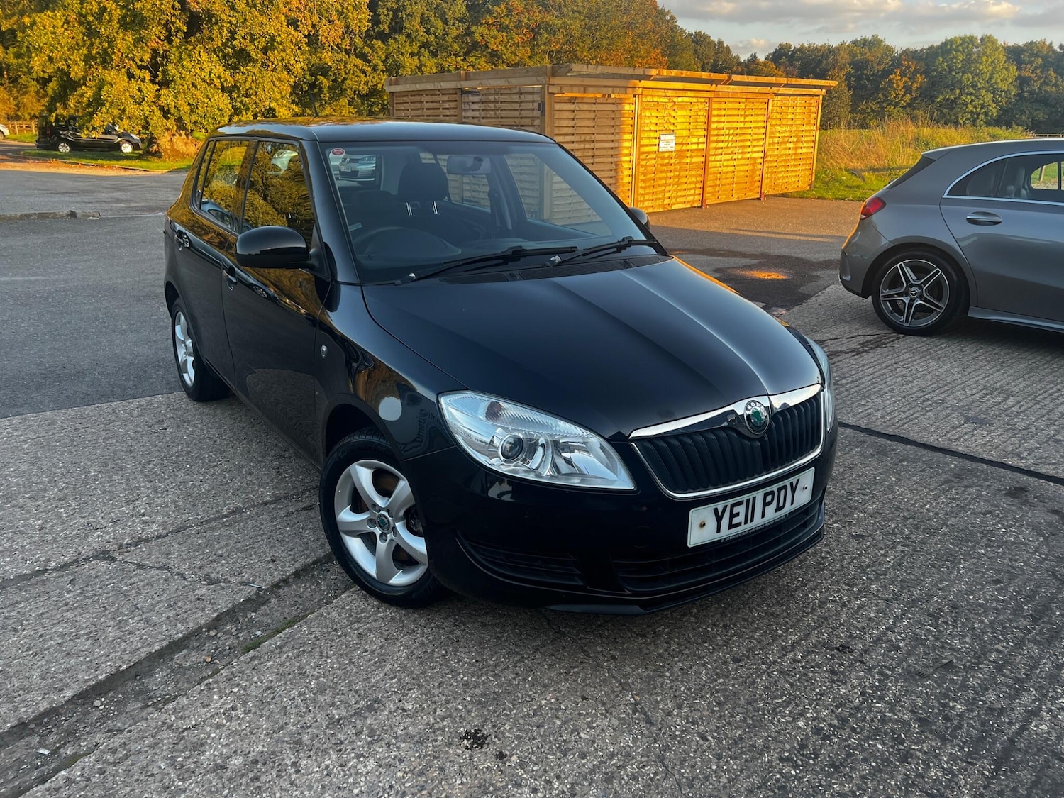 Used Skoda Fabia 2011 for sale - 76584533: Photo 1