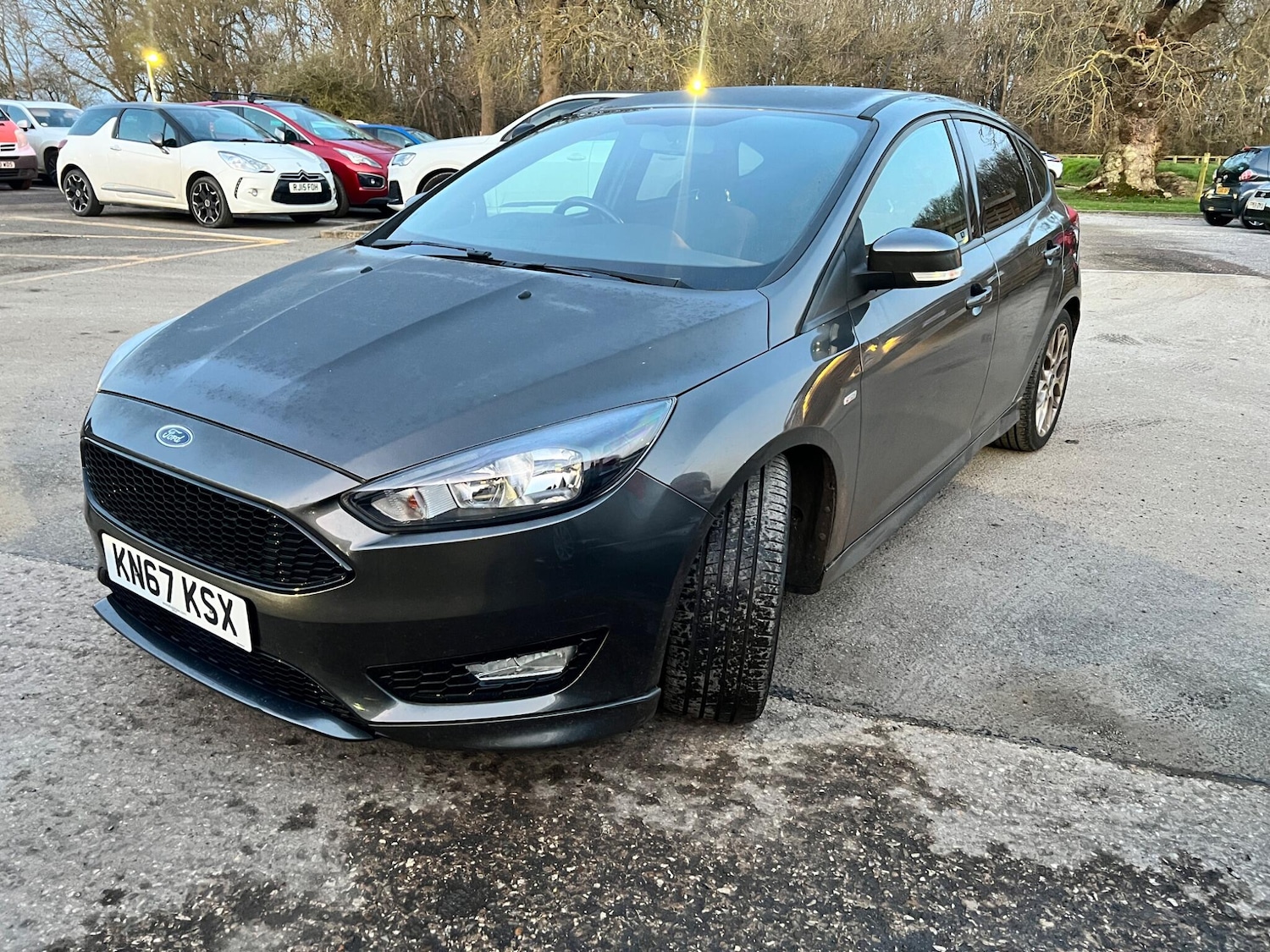 Used Ford Focus for sale - 77670749: Photo 3