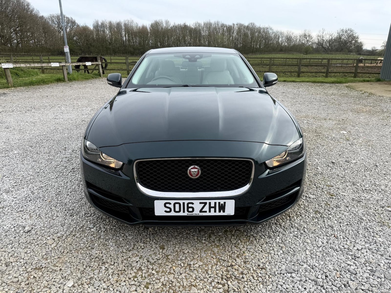 Used Jaguar XE for sale - 78058009: Photo 2