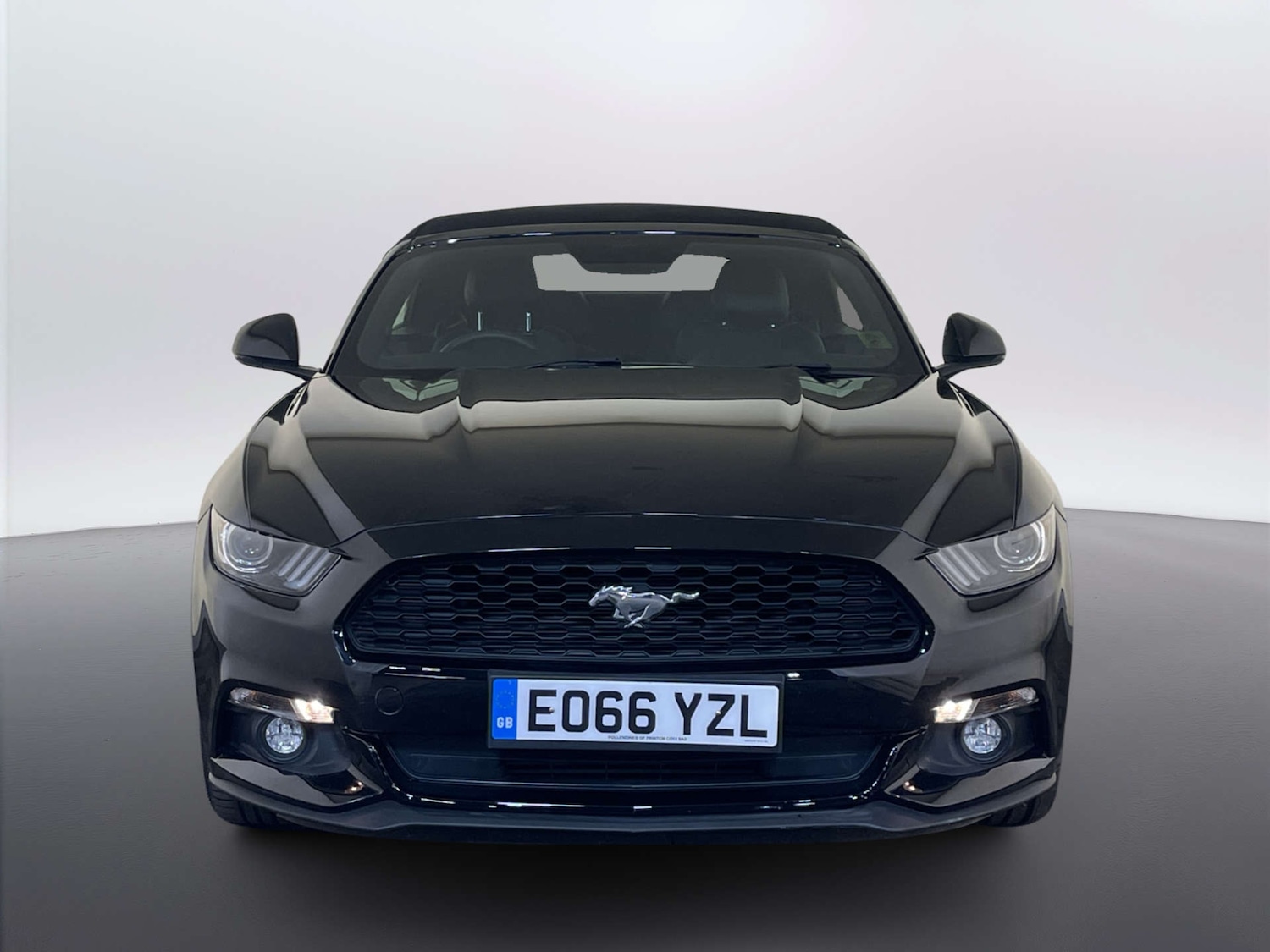 Used Ford Mustang 2016 for sale - 77967941: Photo 5