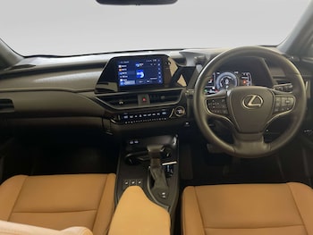 Used Lexus UX 2023 for sale - 79195792: Photo
