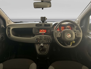 Used Fiat Panda 2021 for sale - 79383207: Photo